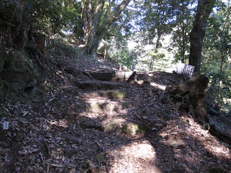 20201105hike (11)